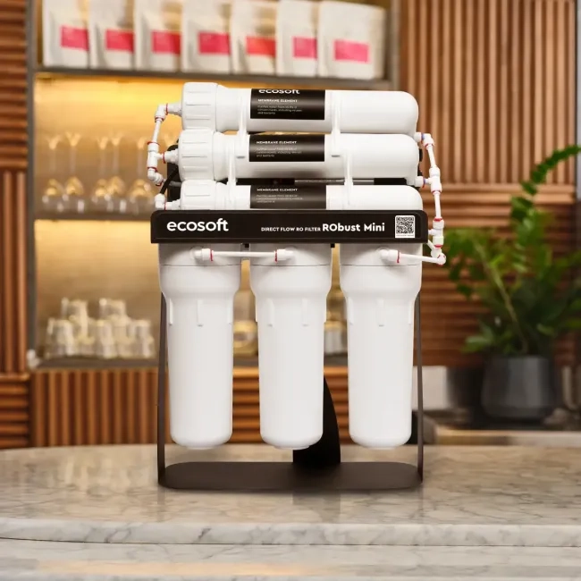 RObust Mini direct flow reverse osmosis filter