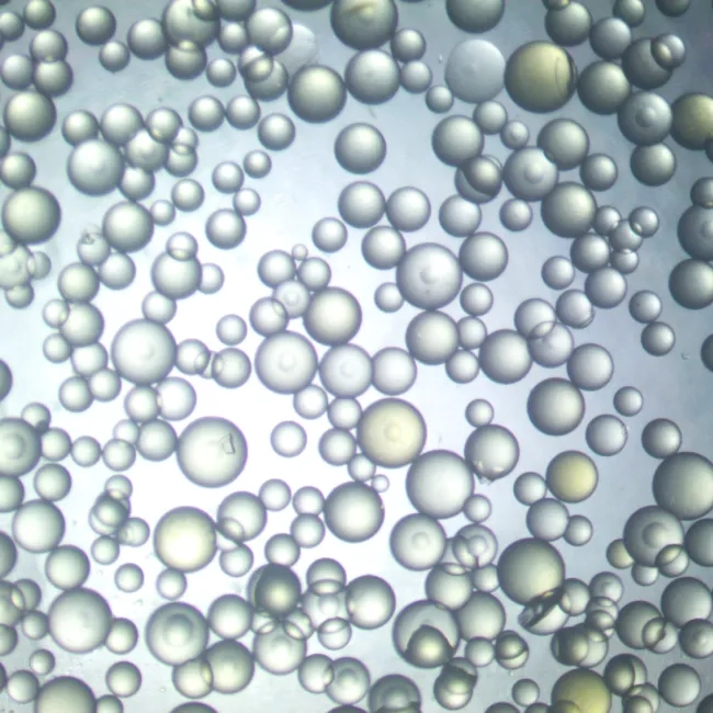 Price Ecosoft Ecolite Demin equilibrated mixed bed ion exchange resin 25 L