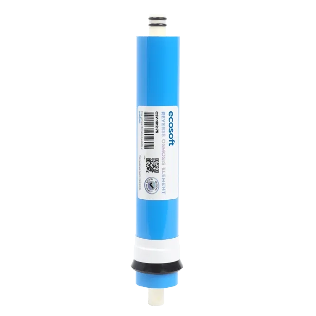 Elément membranaire Ecosoft 100 GPD