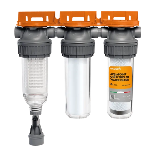 Ecosoft Aquapoint Gold Trio Wasserfilter 3/4"