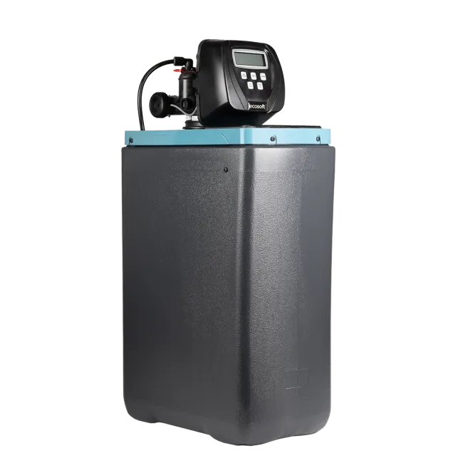Ecosoft Core 250 water softener with CI valve