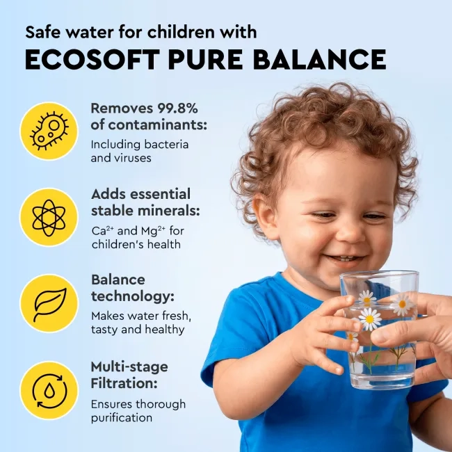 Ecosoft PURE Balance annual replacement filter set with membrane