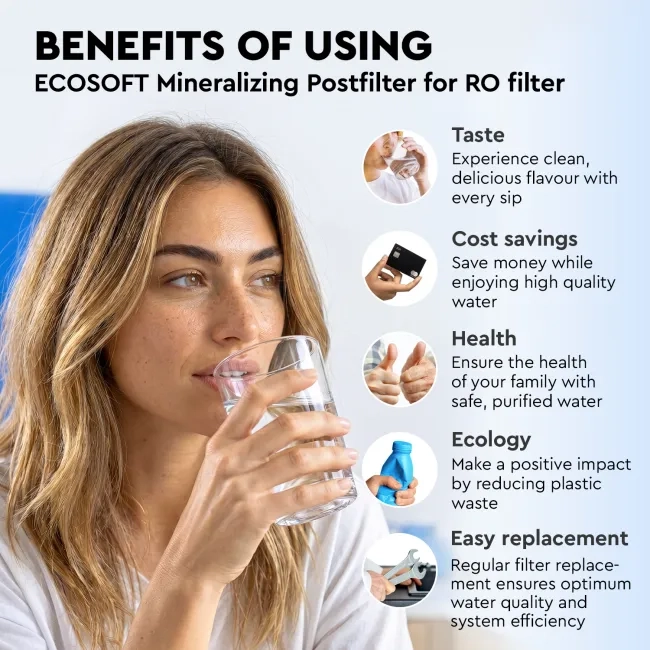 Ecosoft mineralizing postfilter for reverese osmosis filter