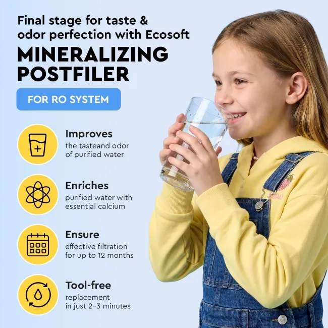 Ecosoft mineralizing postfilter for reverese osmosis filter