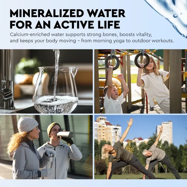 Ecosoft mineralizing postfilter for reverese osmosis filter