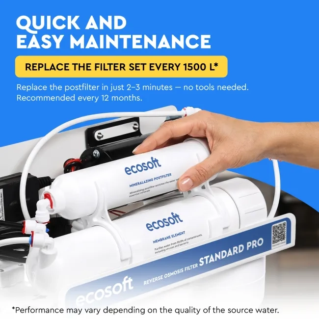 Ecosoft mineralizing postfilter for reverese osmosis filter