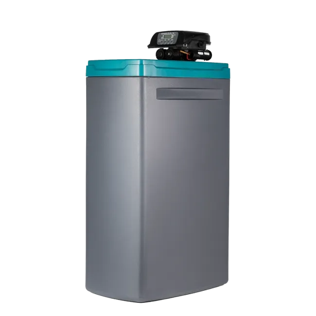 Cena Zmiękczacz wody Ecosoft Core 300 z zaworem DV