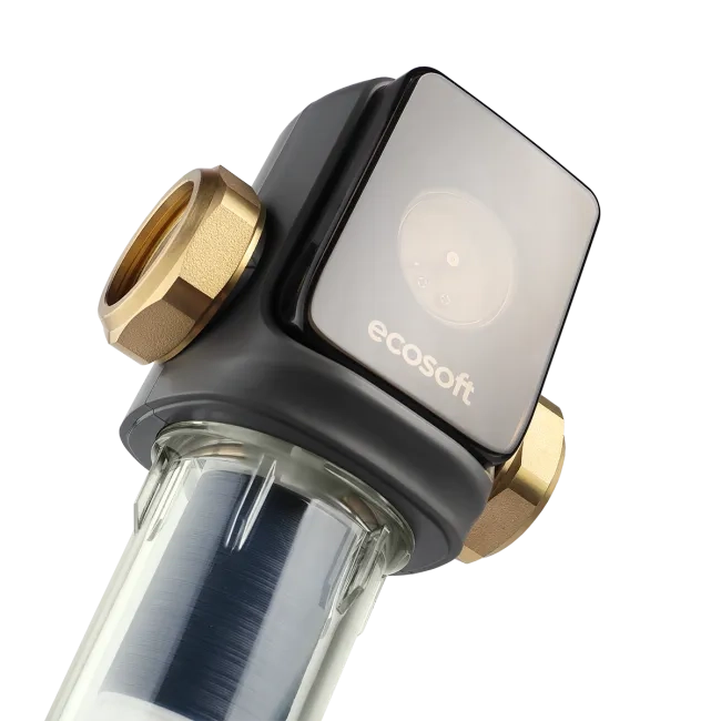 Sediment disc water filter 1"