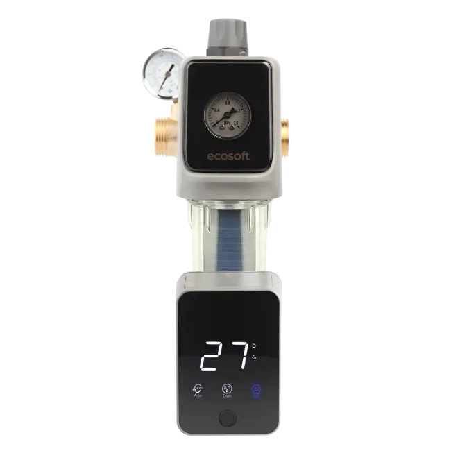 Sediment disc water filter AR 1"