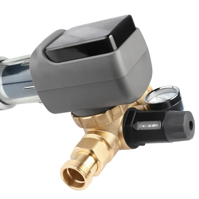 Sediment disc water filter AR 1"