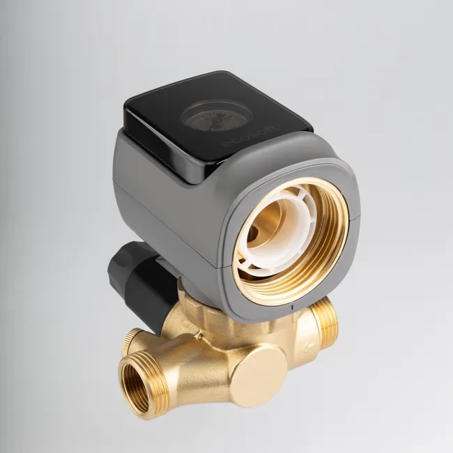 Sediment disc water filter AR 1"