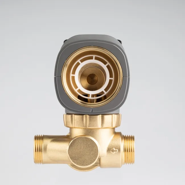 Sediment disc water filter AR 1"