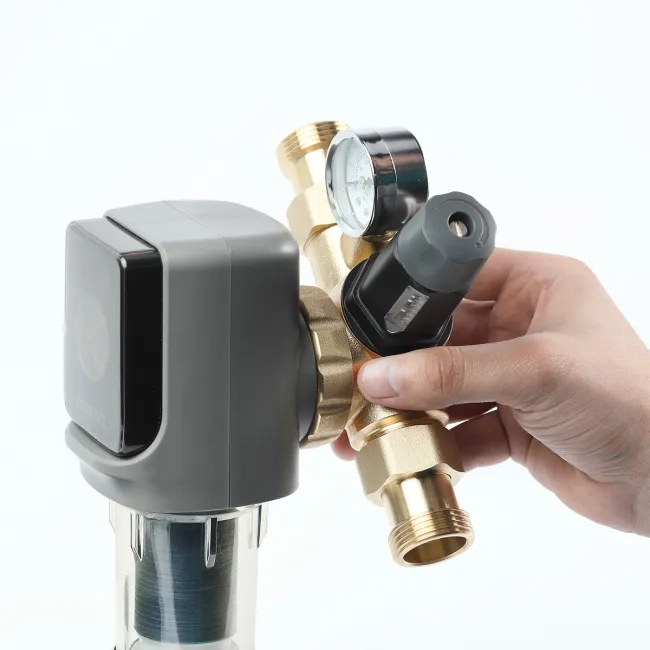 Sediment disc water filter AR 1"