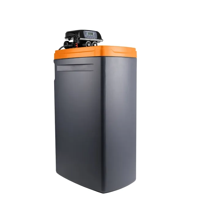 Zmiękczacz wody Ecosoft Core Gold 250 z zaworem DV