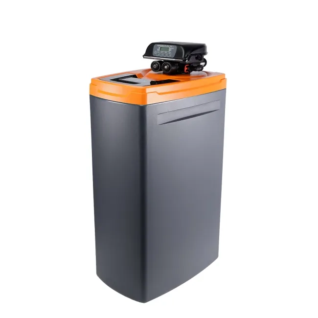 Cena Zmiękczacz wody Ecosoft Core Gold 250 z zaworem DV