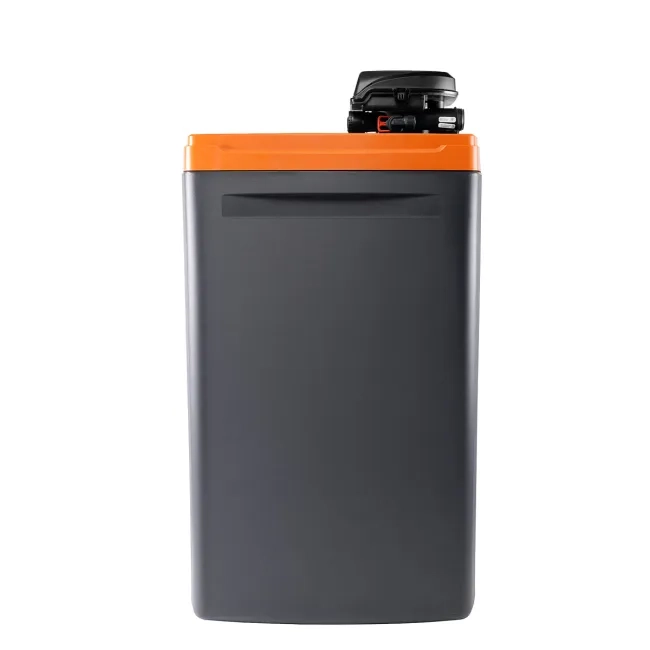 Kup Zmiękczacz wody Ecosoft Core Gold 250 z zaworem DV