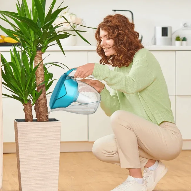 Nemo Aqua Green water filter jug