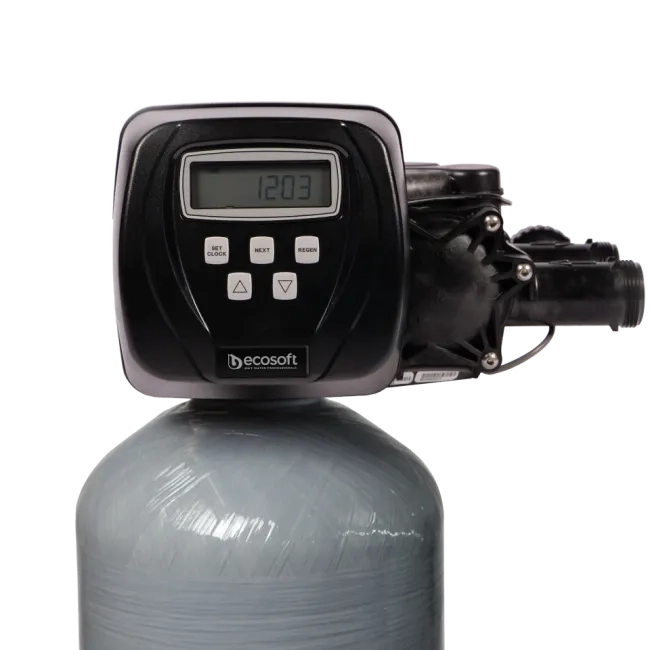 Buy Spécialiste de l'eau 1" CI Twin valve de contrôle alternatif