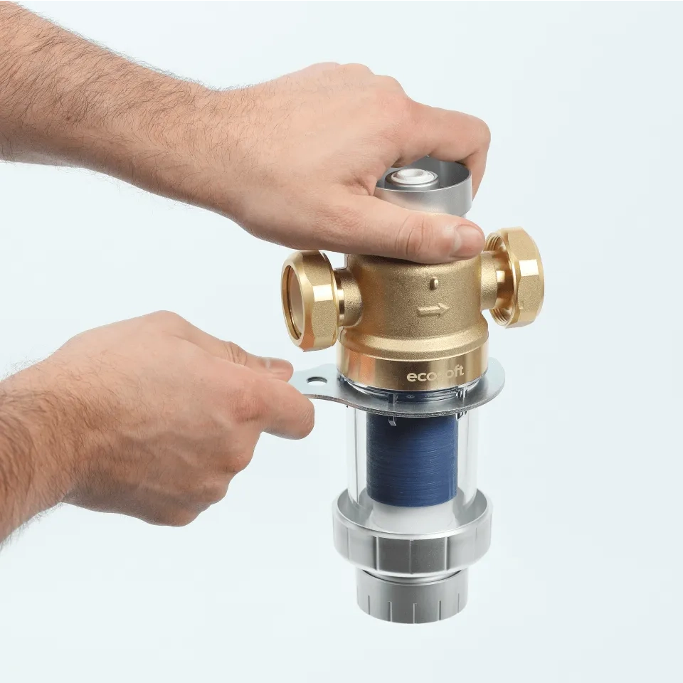 Ecosoft Eric DML flushable water filter