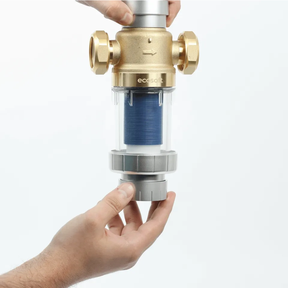 Ecosoft Eric DML flushable water filter