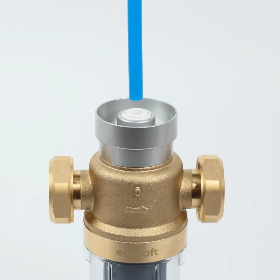 Ecosoft Eric DML flushable water filter