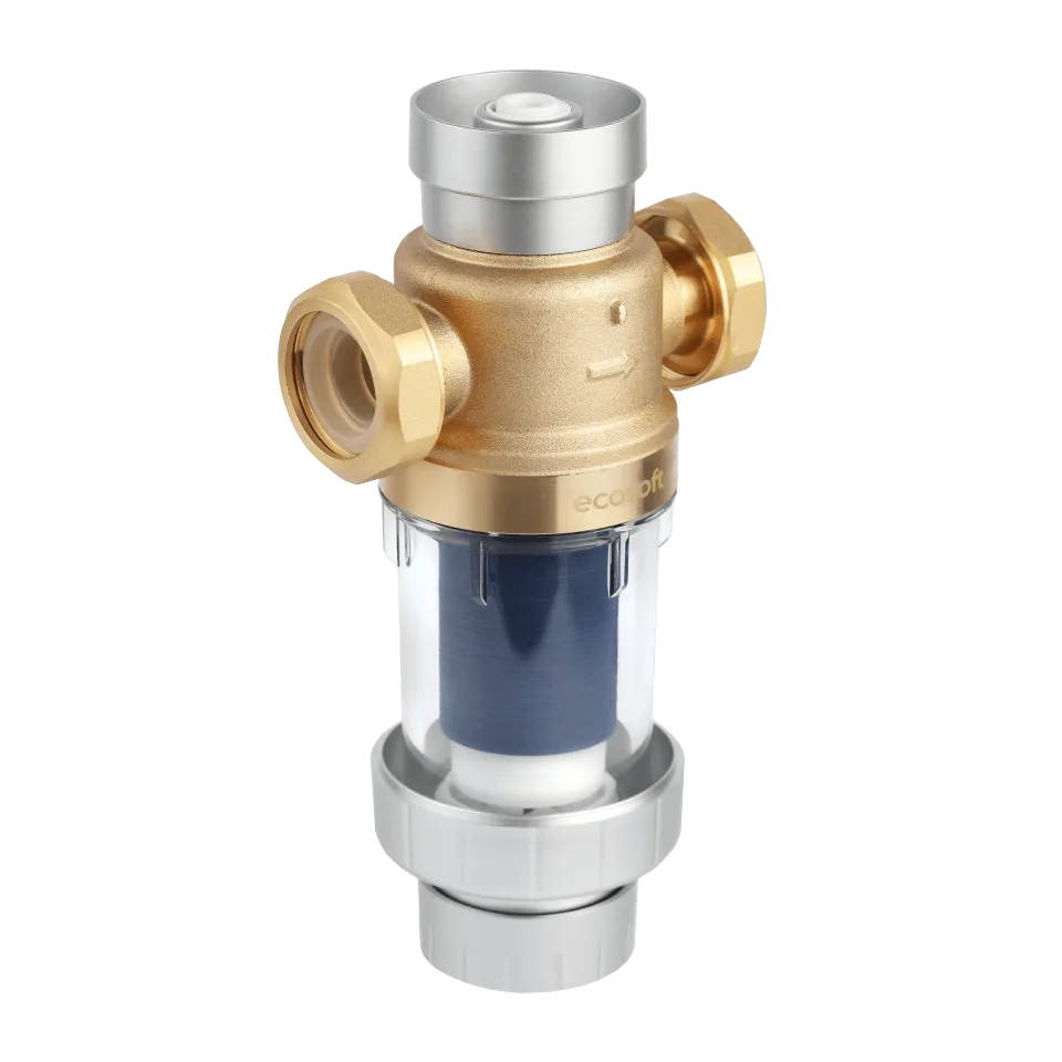 Ecosoft Eric DML flushable water filter