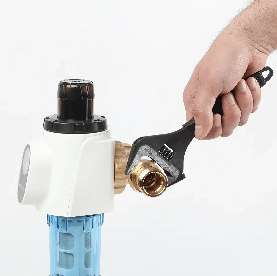 Ecosoft Eric SC flushable water filter