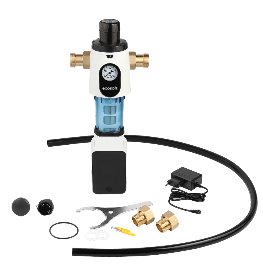 Buy Ecosoft Eric SC flushable water filter