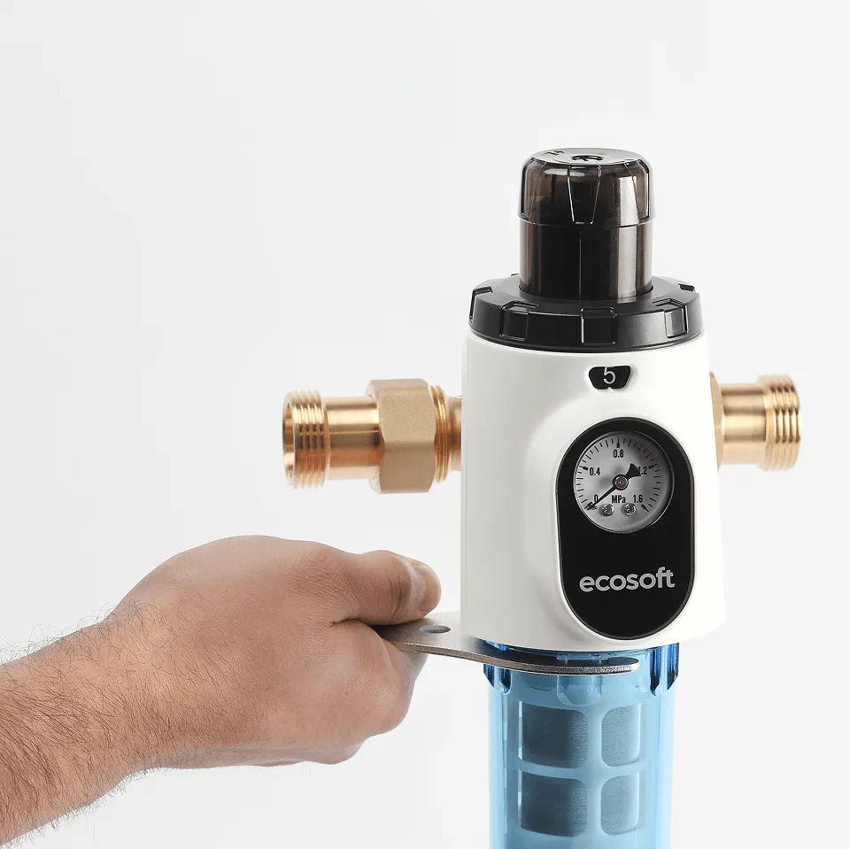 Ecosoft Eric SC flushable water filter