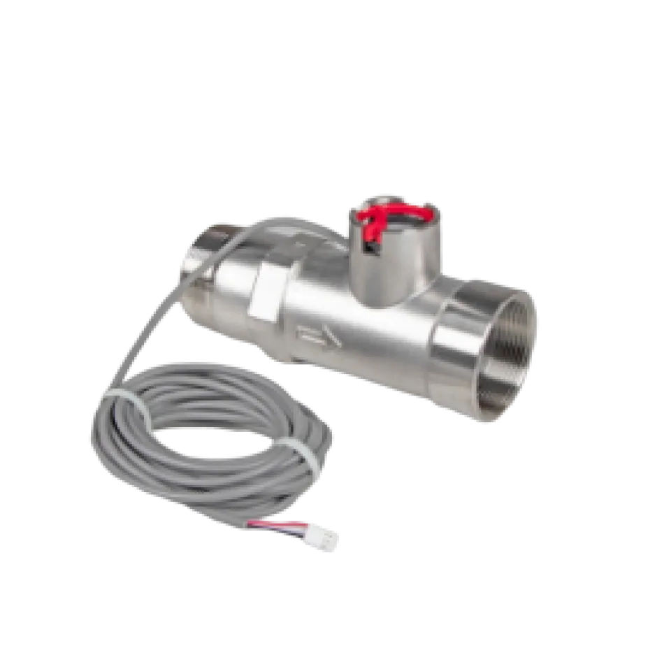 Gruppo di bypass WS da 1"