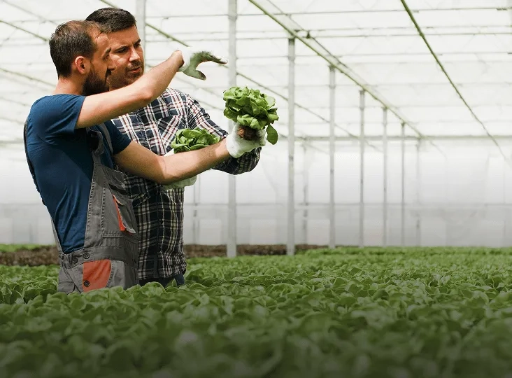 Higher crop yield