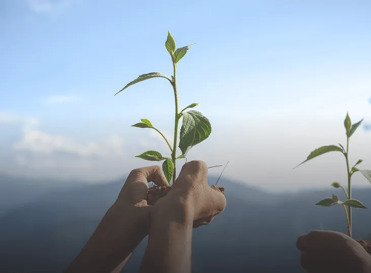 Increased sustainability