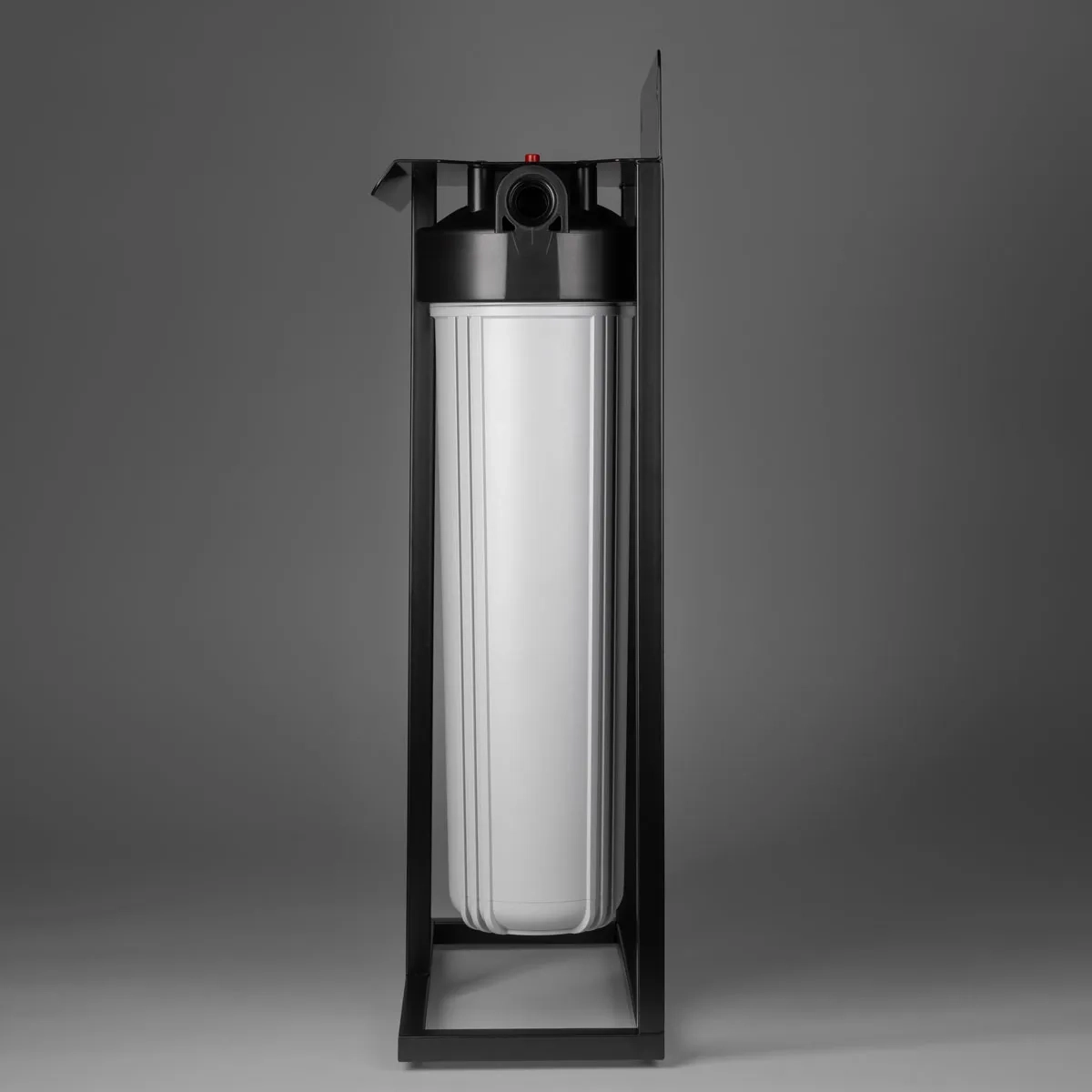 Ecosoft Aquapoint XL Duo whole house water filter