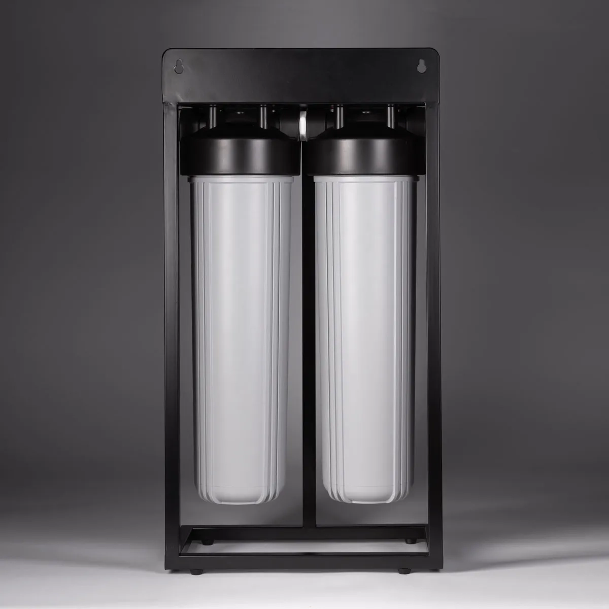 Ecosoft Aquapoint XL Duo whole house water filter