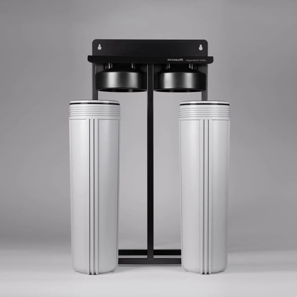 Ecosoft Aquapoint XL Duo whole house water filter