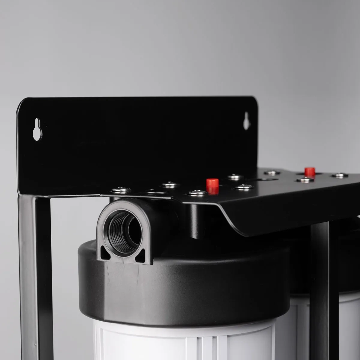 Ecosoft Aquapoint XL Duo whole house water filter